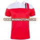 Wholesale sublimation polo sport shirts clothing